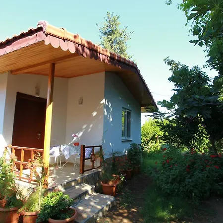 Lavanta Casa de Campo