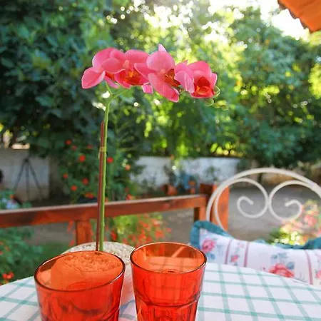 Lavanta * Kemer