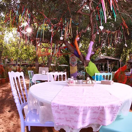 Lavanta Casa de Campo
